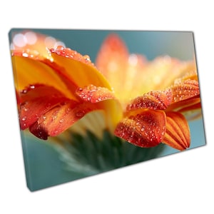 Impression sur toile gerbera orange avec gouttelettes d'eau - oeuvre d'art murale florale pour la maison et le bureau