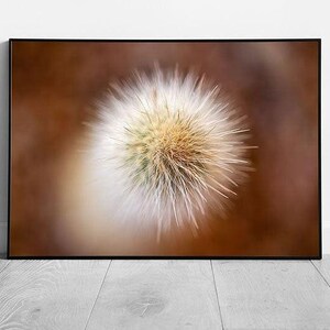 Abstract Aerial Photography of Cactus Spines  Nature Wall Art Print  Framed Succulent Decor