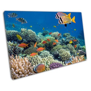 Vibrant Coral Reef Marine Life Wall Art Print: Tropical Fish & Ocean Scene for Home Decor