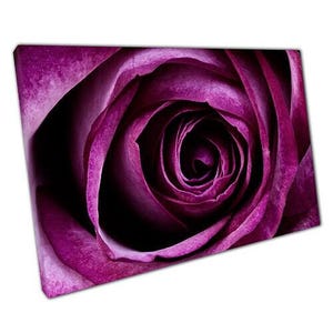 Elegant Purple Rose Canvas Wall Art: Ready to Hang Floral Decor for Home & Office Spaces