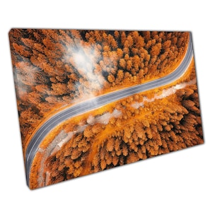 Aerial Autumn Woodland Canvas: Winding Road Landscape Wall Art for Home & Office Decor