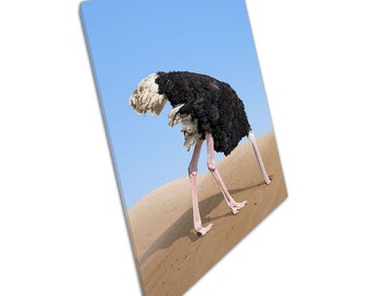 Ostrich Head in Sand - Etsy UK