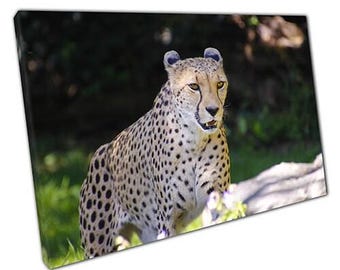 Canvasafdruk sluipende cheetah klaar om op te hangen muurkunst voor thuiskantoorinrichting