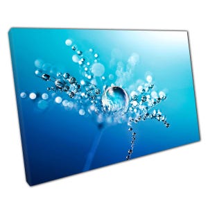 Dandelion Macro Photography Canvas Print - Water Droplets on Blue Wall Art for Home Office Decor
