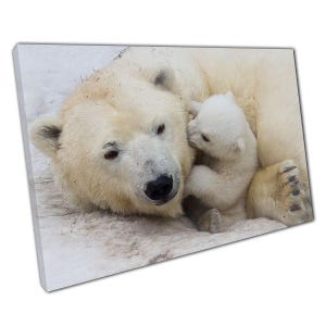 Arctic Polar Bear Family Canvas: Icy Wilderness Mother & Cub Wall Art for Home, Office, Nursery Decor
