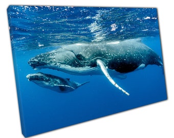 Adult And Child Humpback Whales Happily Swimming Through The Pacific Ocean Sea Life Wall Art Print On Canvas Picture For Home Office Decor