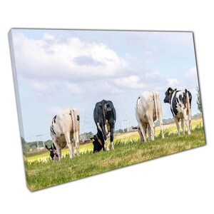 Rustic Farmhouse Canvas: Grazing Cows on Grassy Field Wall Art for Home & Office Decor