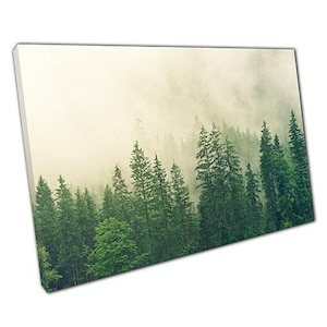 Foggy Woodland Canvas Print - Mysterious Nature Wall Art for Home or Office Décor