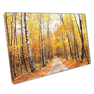 Autumnal Woodland Canvas: Serene Maple & Birch Forest Scene for Home or Office Wall Decor