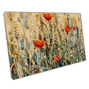 Vibrant Poppy Field Canvas: Sunlit Landscape Wall Art for Home & Office, Ready to Hang