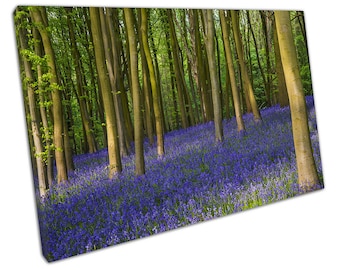 Ancient bluebell wildflowers woods in Oxfordshire Ready to Hang Wall Art Print Picture For Home Office Decor