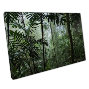 Tropical Jungle Tree Plant Life Canvas Wall Art Print for Home or Office Decor