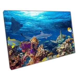 Coral Reef Ocean Wall Art Print Sea Life Shark Stingray  Tropical Fish Canvas Decor for Home or Office