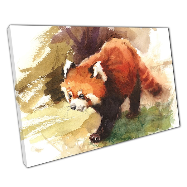 Panda roux sauvage explorant l'aquarelle peinture animalière Illustration impression d'art mural sur toile photo pour la décoration de bureau à domicile