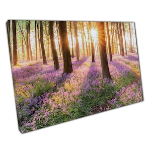 Lienzo con un encantador amanecer en el bosque de campanillas azules: arte mural de bosque para la decoración del hogar y la oficina