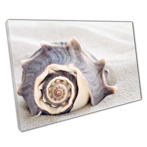 Seashell Wall Art Print on Canvas  White Sandy Beach Decor for Home  Office