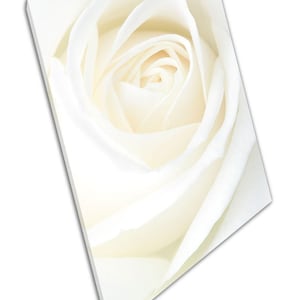 Large White Cream Rose Canvas Wall Art Print for Home  Office Decor - Ready to Hang Floral Artwork