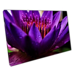 Exotic Lotus Purple Flower Canvas Wall Art Print for Home Office Decor