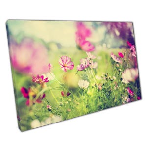Magenta Pink  White Garden Flowers Canvas Print - Beautiful Wall Art for Home  Office Decor