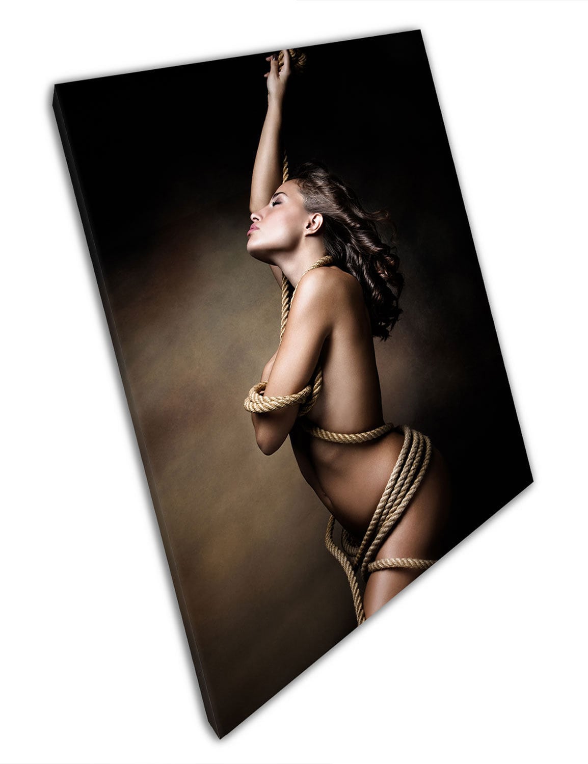 Beautiful Naked Lady Wrapped in Rope Woman Art Ready to Hang