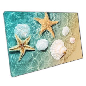 Photographie de plage côtière : toile d'art murale étoiles de mer et coquillages pour la maison, le bureau ou une décoration nautique