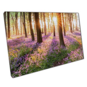Sunrise Shining Through Tall Trees Of Majestic Fairy-tale Bluebell Forest Woodland Wall Art Print On Canvas Picture For Home Office Decor
