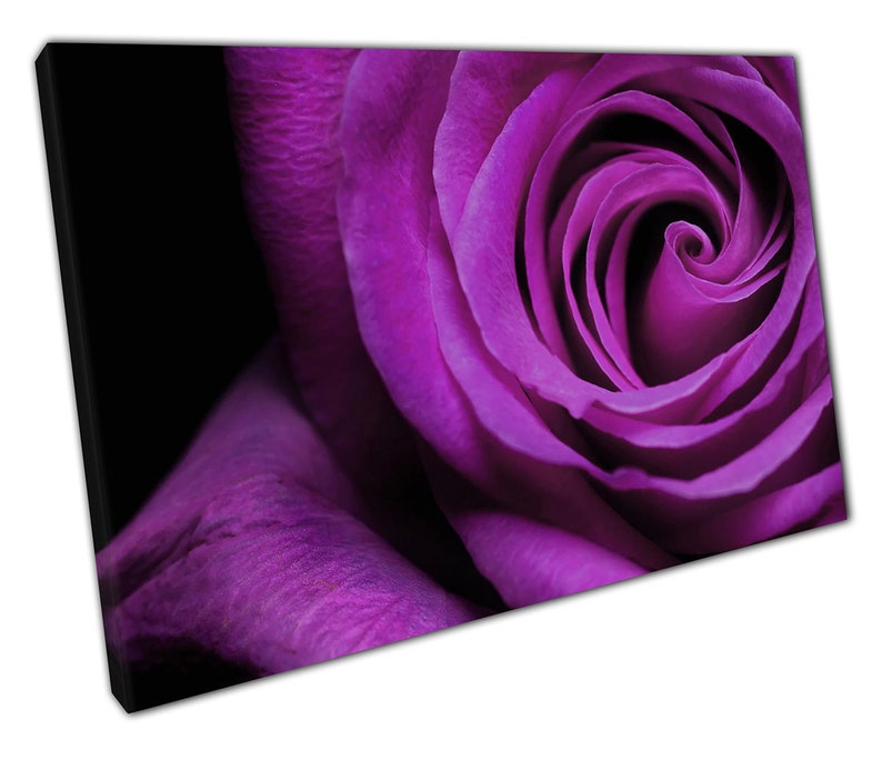 Canvas Print Purple Rose Wall Art Ready to Hang Print Picture Etsy