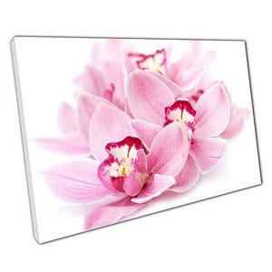 Pink Orchids Canvas Wall Art - Ready to Hang Home Office Decor