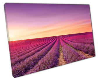 Scenic Lavender Fields Canvas Print: Valensole France Sunset Landscape for Home and Office Decor