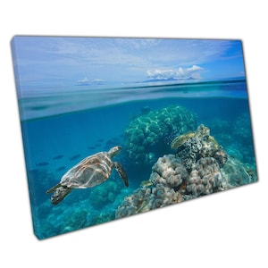 Tropical Seascape Canvas Print with Turtle Swimming in Reef  Islands Horizon Wall Art for Home Office Décor