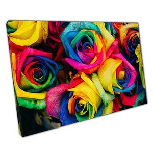 Levendige regenboogrozen canvas muurkunst klaar om op te hangen Home Office Decor