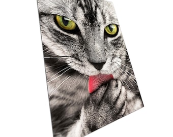 Tabby Cat Gifts C2-KRH Silver Tabby Cat Kitchen Roll Holder Tabby Cats