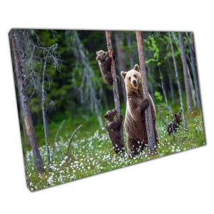 Mother Bear and Cubs Woodland Canvas Art: Rustic Nature Decor for Nursery, Home, or Office