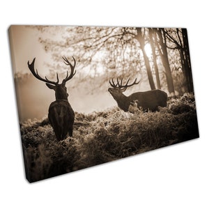 Sepia Red Deer in the Morning Sunshine Animal Art Ready to Hang Canvas Wall Art Print Picture For Home Office Decor