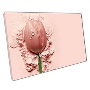 Blush rosa Tulip Leinwand Kunst zart rosa Blumendekor für Zuhause Büro