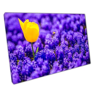 Lebhafte gelbe Tulpe Leinwand: Lavendel Feld Landschaft Kunst für Zuhause & Büro Dekor