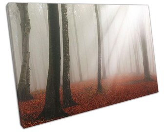Art mural sur toile forêt de rêve, lumière du soleil, rayons de soleil blancs, décoration de feuilles rouges pour bureau à domicile