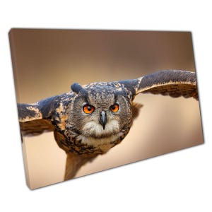 Eurasian Eagle Owl Canvas Print  Gliding Through Air in Grassy Meadow  Home Office Wall Art Decor