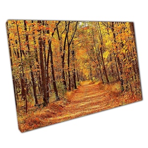 Herbst Ahorn Baum Leinwand Kunst Lebendige Orange Goldene Blatt Wohnkultur