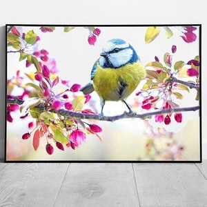 Vibrant Bird Wall Art: stampa su carta incorniciata e pronta da appendere per un arredamento ispirato alla natura.