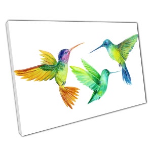 Stunning Rainbow Hummingbirds Fluttering Watercolour Illustration Wall Art Print On Canvas Picture For Home Office Decor