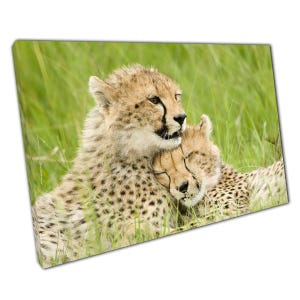 Cheetah Cubs Canvas Print: Exotic African Safari Wall Art from Maasai Mara for Wildlife Enthusiasts