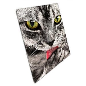 Playful Tabby Cat Canvas Print Grey  Black Feline Wall Art for Office Décor