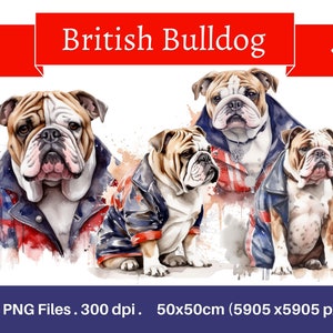 Clipart de Bulldog Britânico - 4 PNGs de alta qualidade - Download digital - Criação de cartão, Clip Art, Artesanato de papel digital, bandeira Union Jack, uso comercial