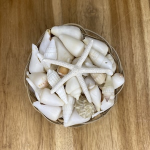 May include: A woven basket filled with various white seashells and a white starfish. The seashells are different shapes and sizes. The basket sits on a light brown wooden surface.