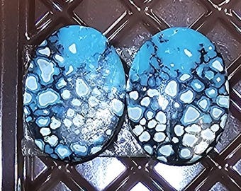 Hubei Turquoise Cabochons: Matched Pair Freeform Gemstone Earrings