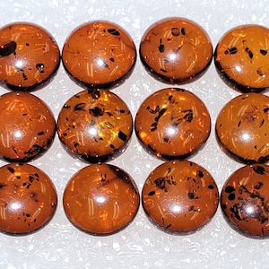 Designer dream! Genuine  Baltic Amber round cabochon size 8 mm set of 12 or 24 pcs Weight 7.5 - 15 Carats