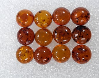 10 mm Natural Baltic Amber round cabochon size 10 mm mix grades lot of 12 pcs