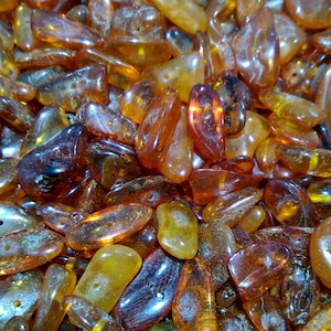 Genuine Baltic Amber Nugget Beads: Freeform Gemstone Lot