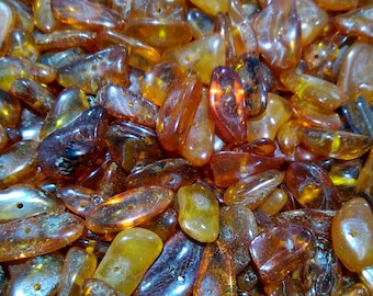 Genuine Baltic Amber Nugget Beads: Freeform Gemstone Lot